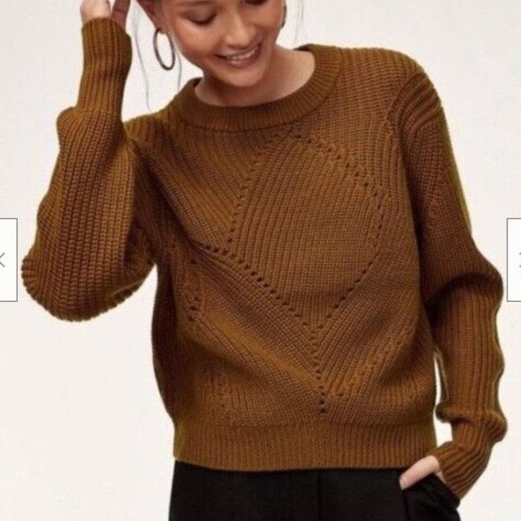 Aritzia Sweaters - Aritzia Wilfred Free 100% Merino Wool Serment Crop Knit Brown Sweater Med